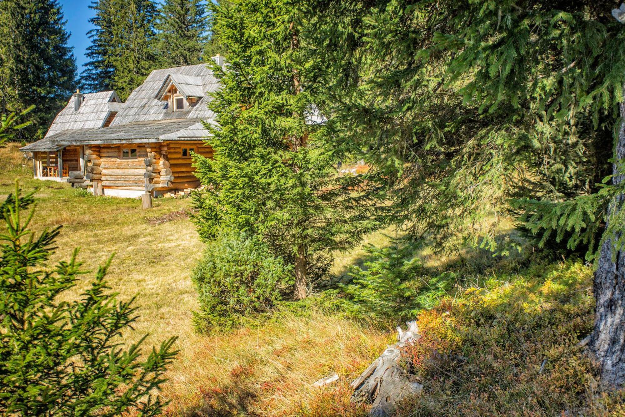 Lodge Nadgora Žabljak Exterior foto